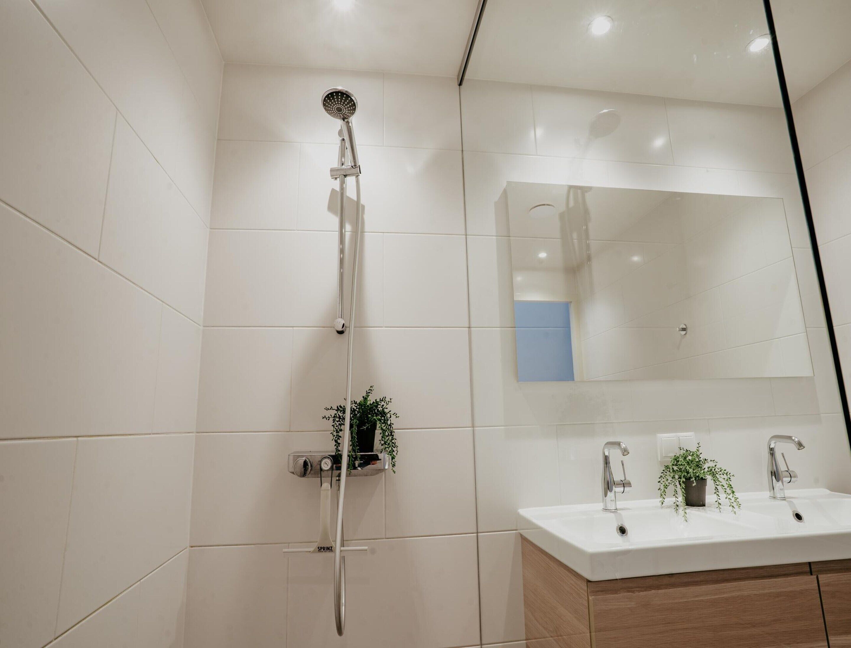 A modern bathroom with a shower, sink, and mirror.
