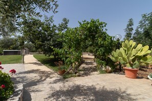 A paved pathway with potted plants and a cactus.