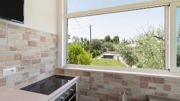 Fridge, oven, stovetop, toaster