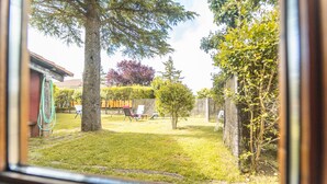 Vista a través de una ventana de un jardín trasero con césped, un árbol, una valla y un edificio al fondo.