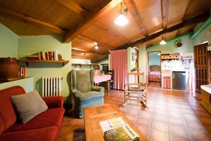 TV, fireplace, DVD player