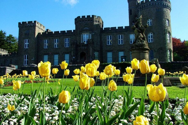 Parco della struttura