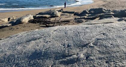Preciosa Casa a Pasos de la Playa Ideal Para Disfrutar, Descansar