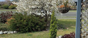 You deserve the comfort, warmth & style of this clean family house. 