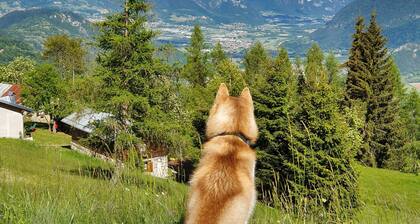 Chalet 'Baita Casapendola'