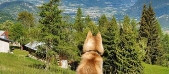 Chalet 'Baita Casapendola'