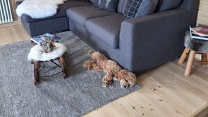 A cozy living room with a grey sectional sofa, a white furry rug, and a small wooden stool. - Chalet 'Baita Casapendola' (Roncegno Terme)