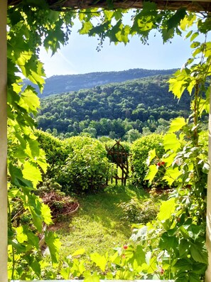A vineyard with rows of grapevines and a wooden trellis structure. - Holiday Apartment "T3 Au Vert À 5 Min D'Annecy Centre" with Private Terrace, Private Garden & Wi-Fi (Annecy)