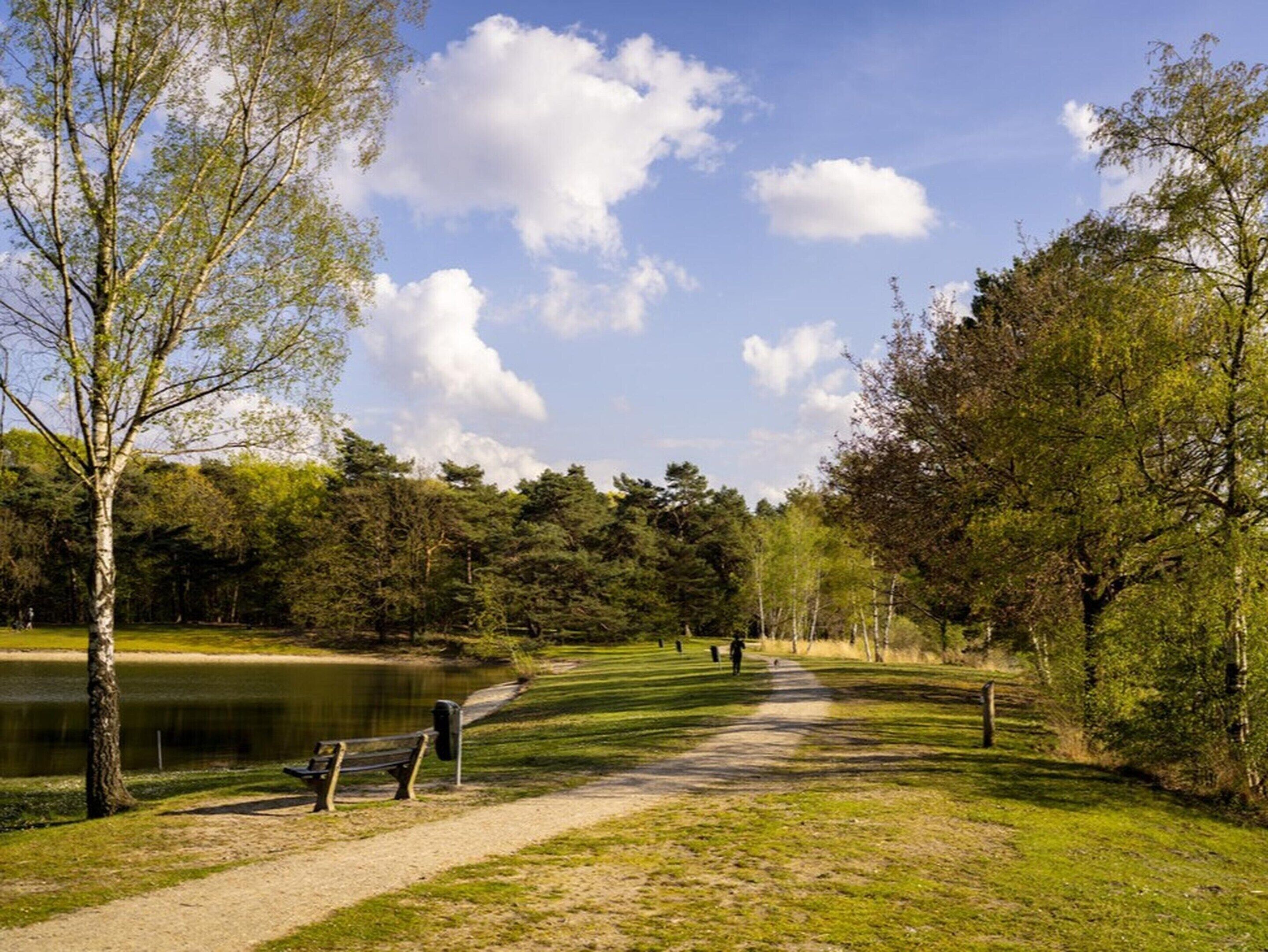 A park with a walking path, benches, and a lake.