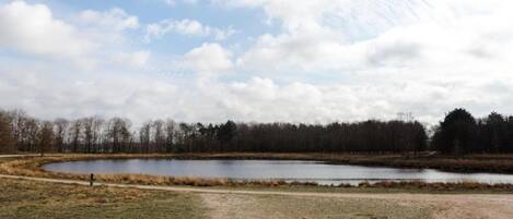 Eine natürliche Landschaft mit Teich, einer Feldweg und einer Baumreihe im Hintergrund.
