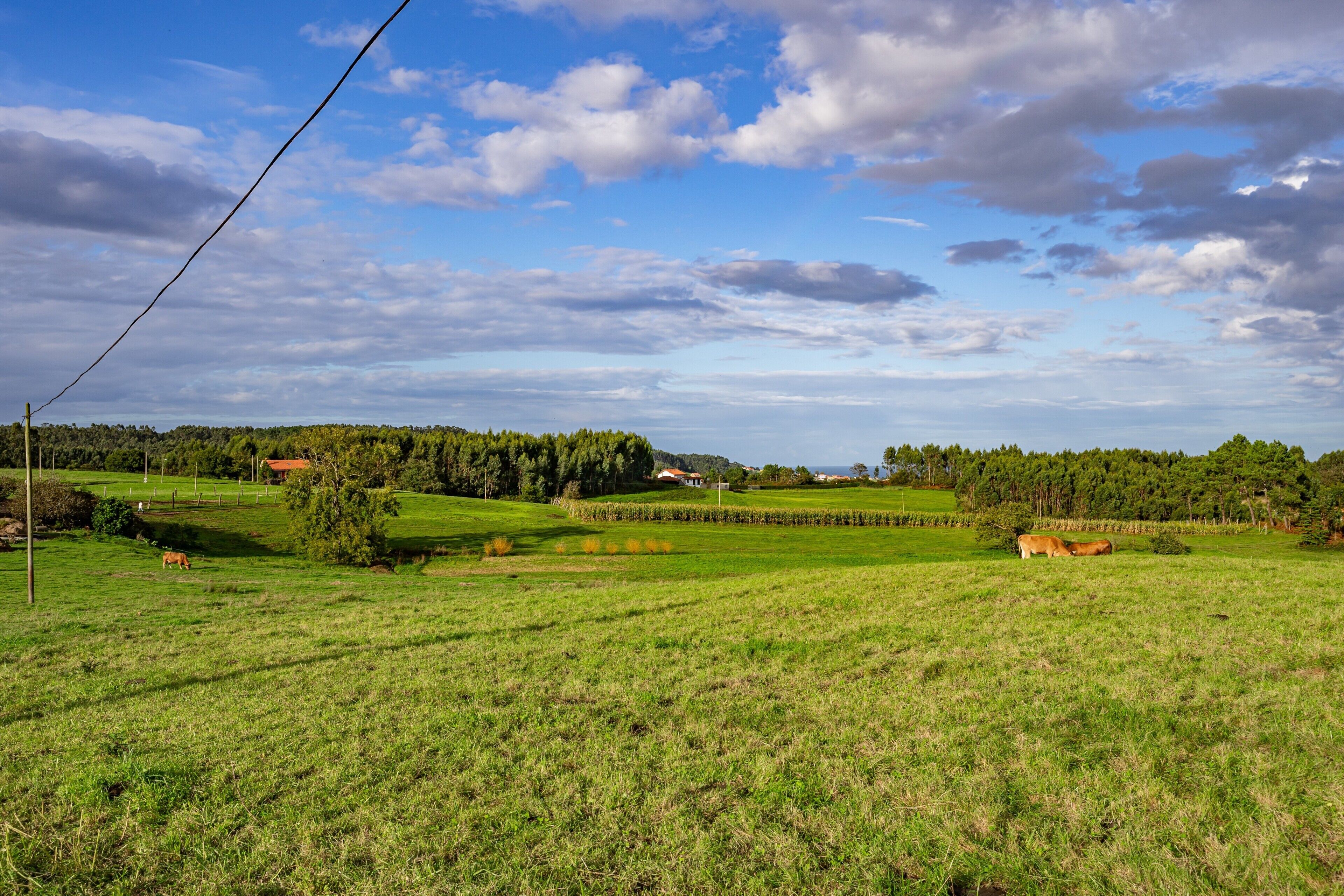 Paisatge rural amb camps, arbres i alguns edificis a la llunyança.