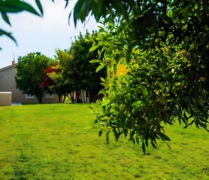 Área da propriedade