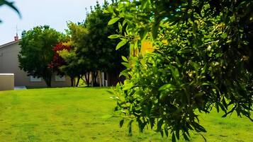 Overnatningsstedets område