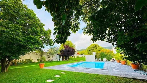 Un jardín bien cuidado con una piscina, rodeado de abundante vegetación y plantas en macetas.