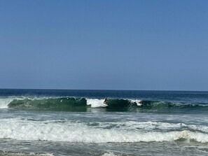 Surfing/bodyboarding