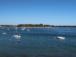 Un puerto deportivo con varias embarcaciones y yates fondeados en aguas tranquilas.