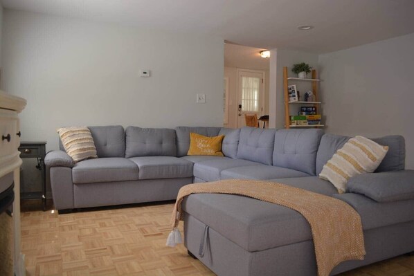 Smart TV, fireplace, books