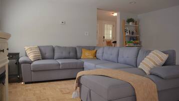 Smart TV, chimenea y libros