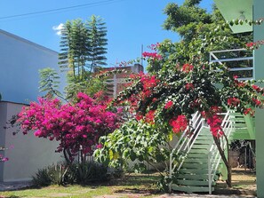 A green staircase leading up to a building with a white fence and pink bougainvillea flowers. - Furnished upstairs apartment ideally located in Oaxaca's Historical District (Oaxaca de Juárez)