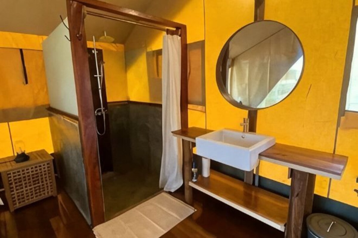 A bathroom with a shower, a sink, a mirror, and a wooden vanity.
