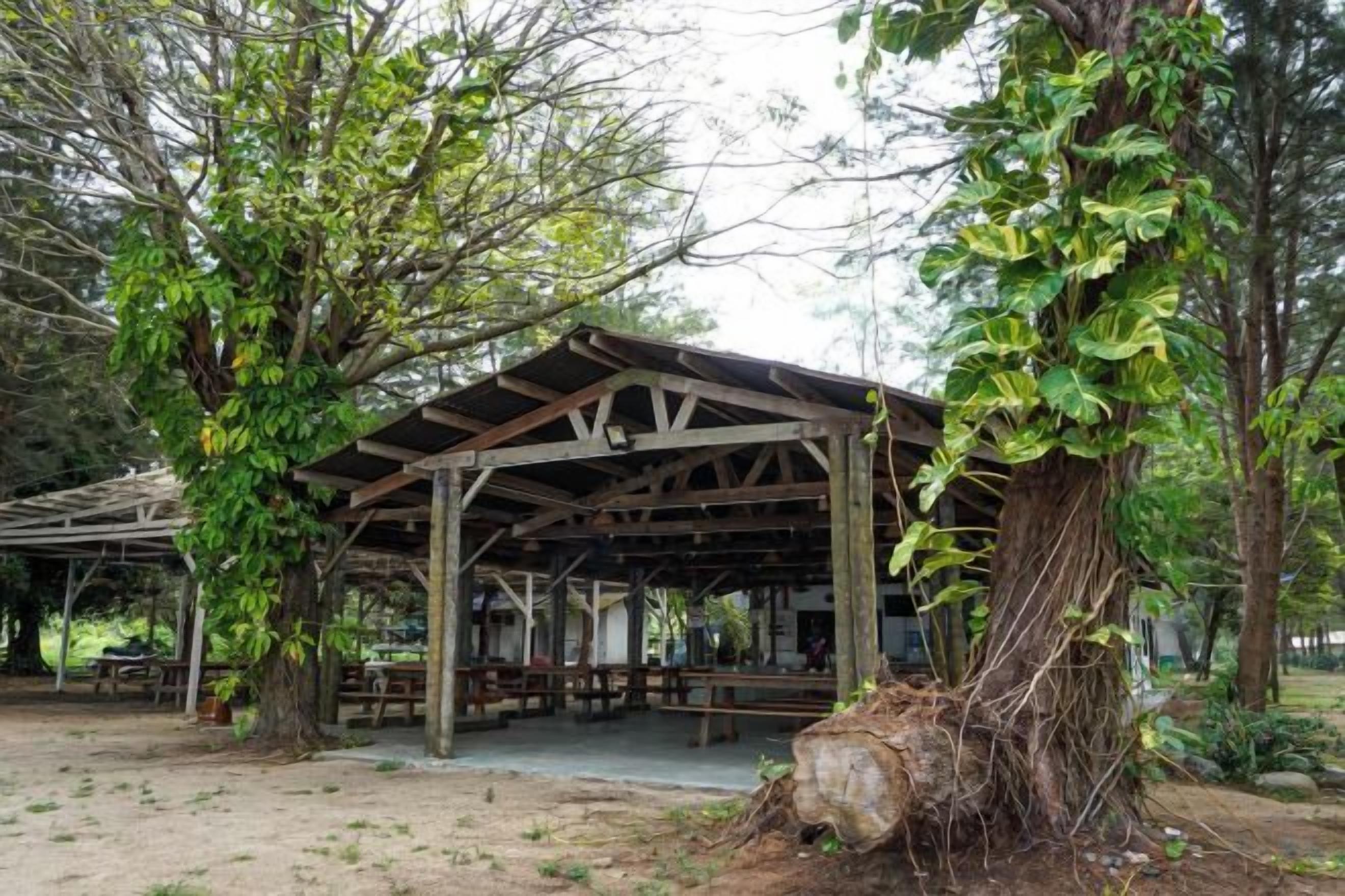 Un área de picnic techada con bancos y mesas, rodeada de árboles.