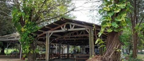 Un área de picnic techada con bancos y mesas, rodeada de árboles.