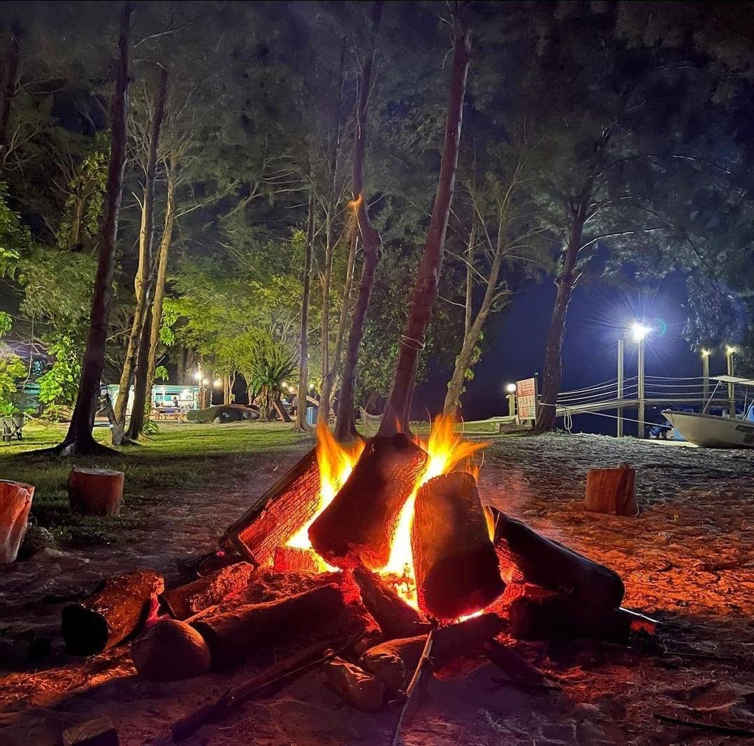 A campfire in a park at night with trees and distant lights.