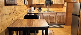 Rustic and cozy cabin with all new amenities near beautiful Hatcher’s Pass