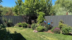 A well-maintained garden with various plants and a bird feeder.