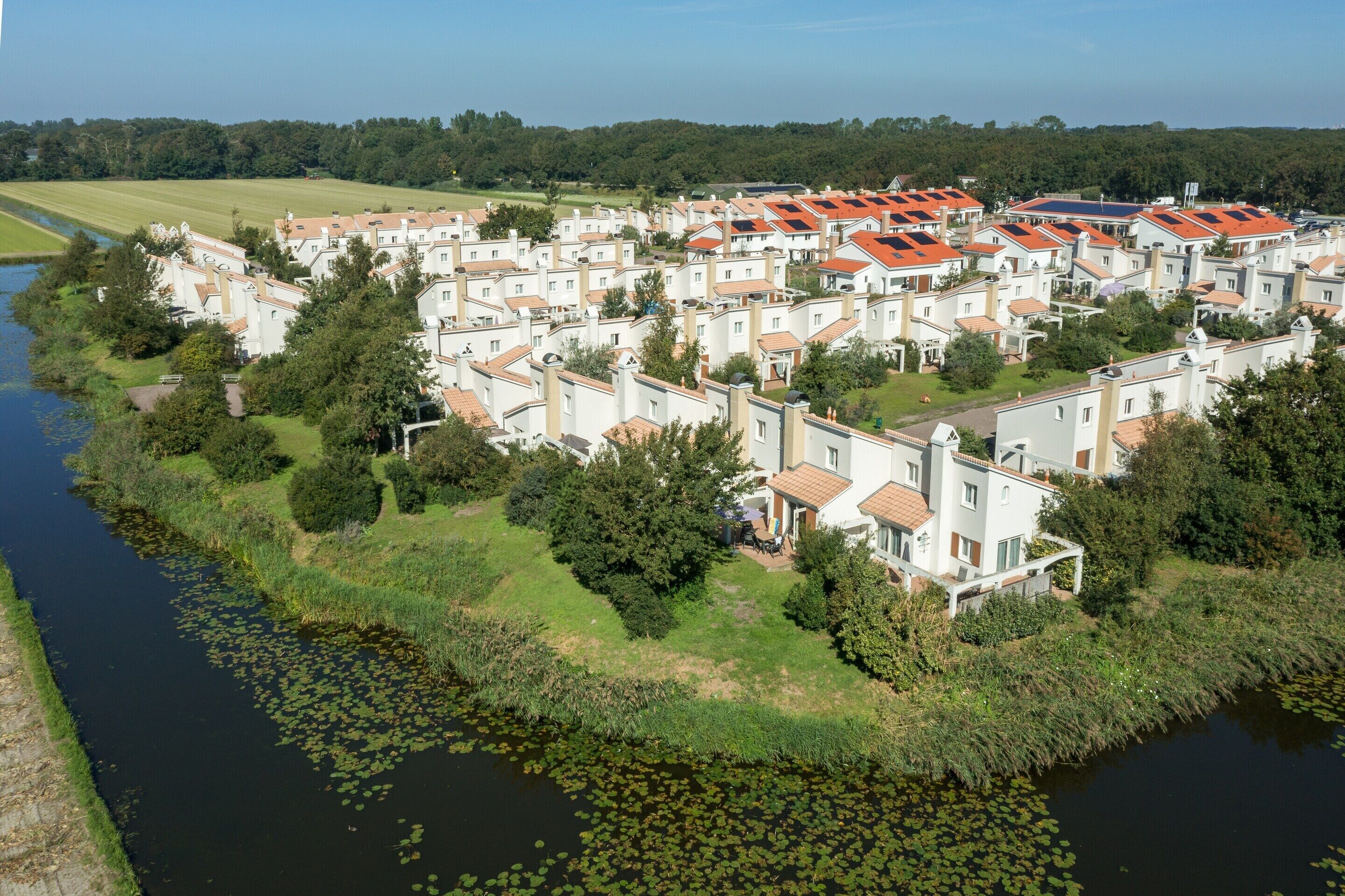 A residential area with houses along a riverbank, surrounded by greenery and a clear sky.
