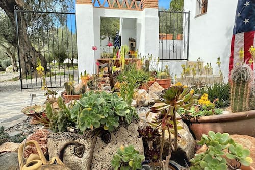 Casa | Jardín