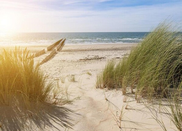 Villa | View from property - Villa Near North Sea Beach With Sauna (Cadzand-Bad)