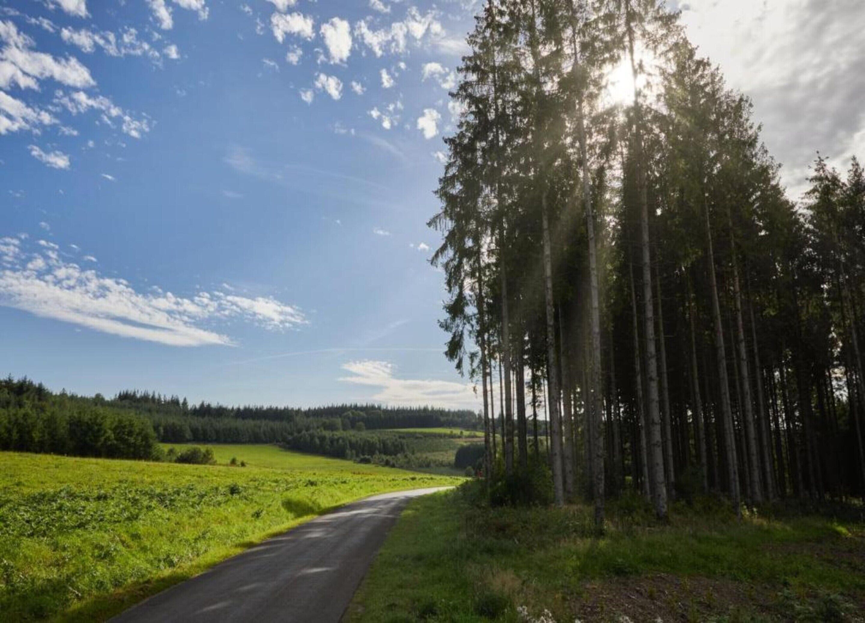 Een landelijke weg langs dichte bossen en open velden, onder een lichtbewolkte lucht.