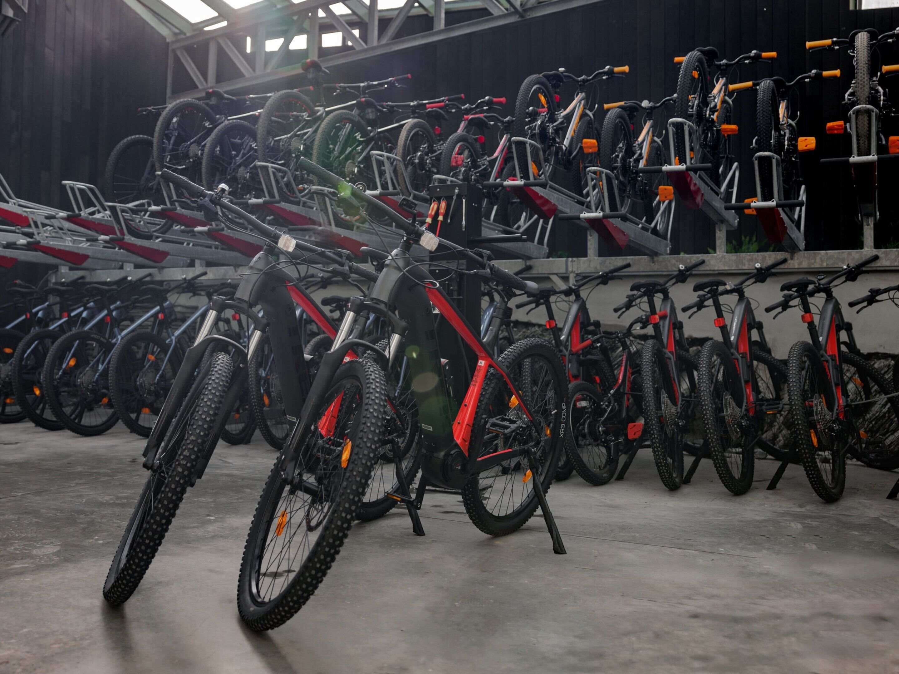 A row of mountain bikes parked indoors, likely in a bike rental facility.