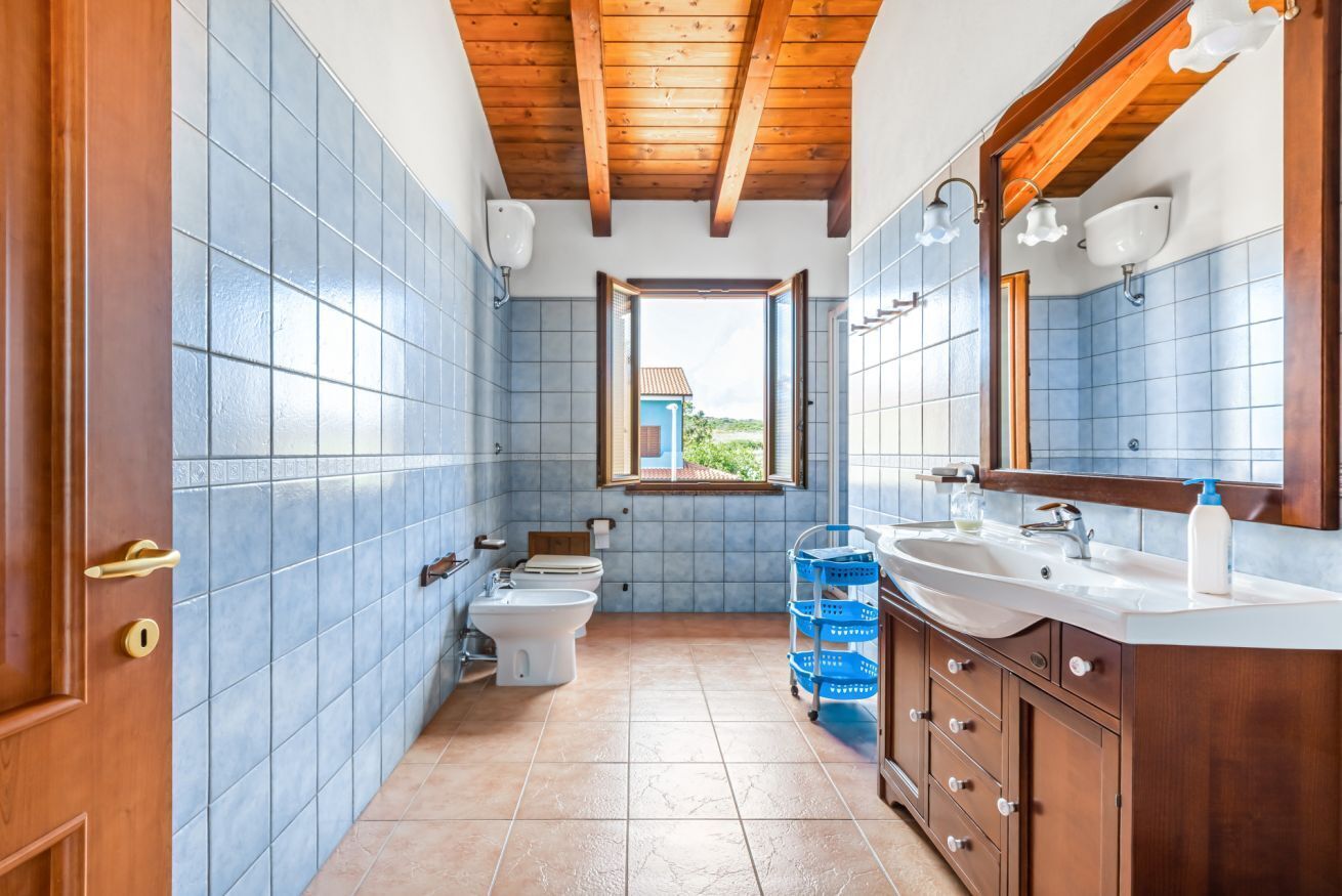 Shower, hair dryer, bidet