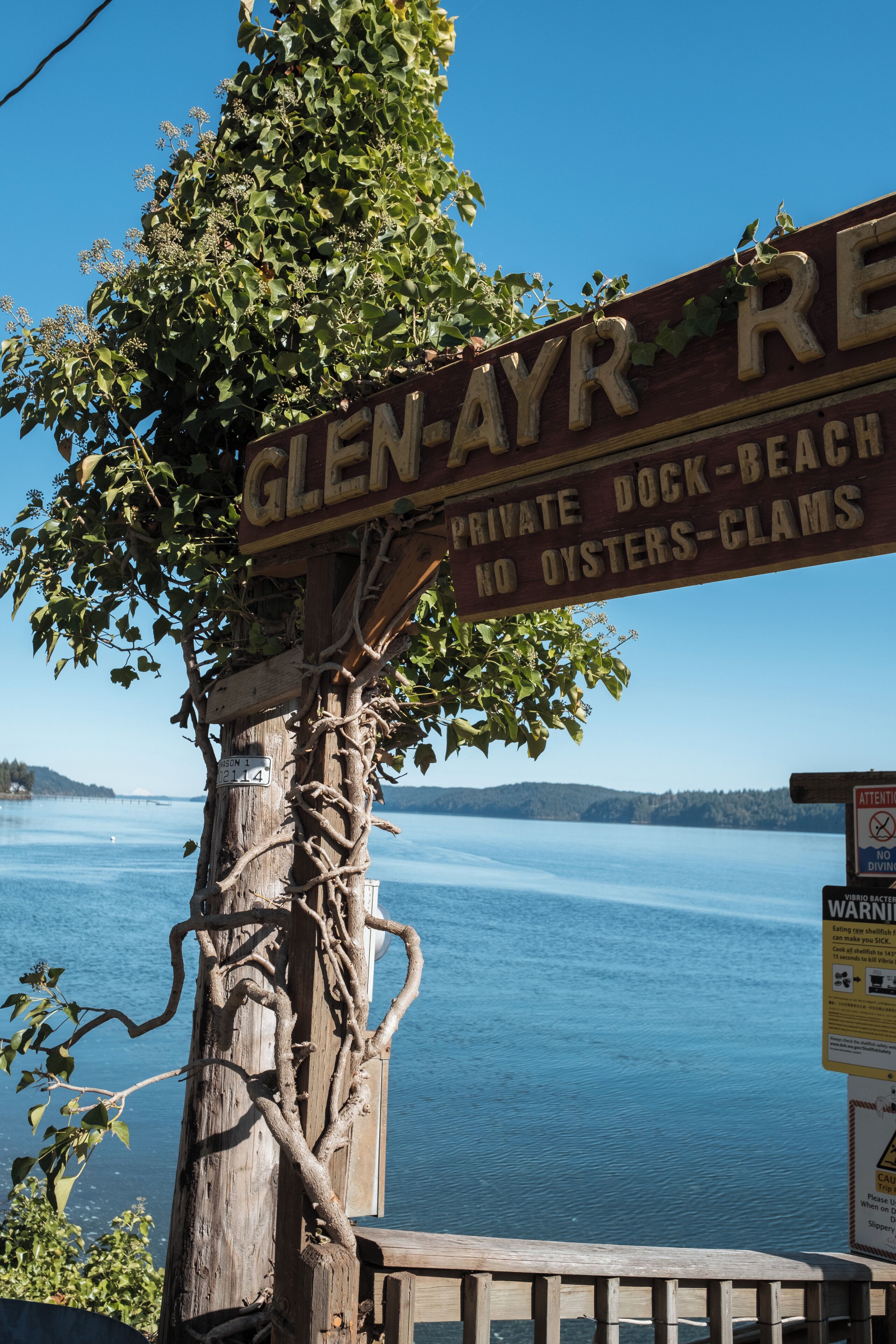 A wooden signpost with 'GLEN-AYR' and 'PRIVATE DOCK-BEACH' written on it, surrounded by a tree with green leaves.