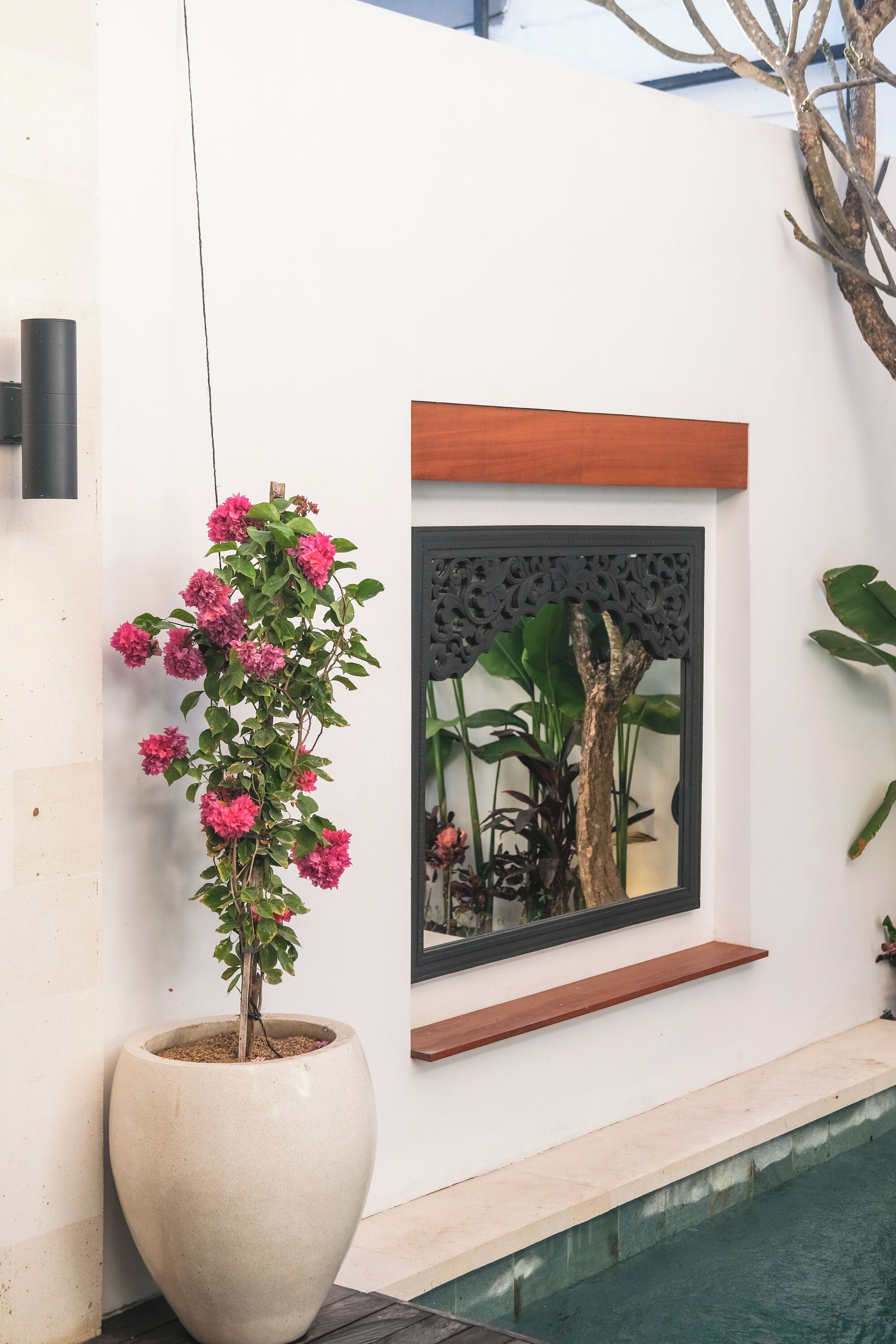 A large potted plant with pink flowers next to a wall with a decorative panel and a wooden shelf.