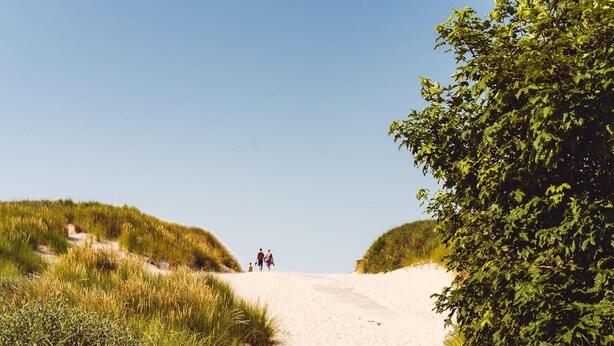 Un sendero arenoso bordeado por dunas cubiertas de hierba y densa vegetación, que conduce a una figura distante.