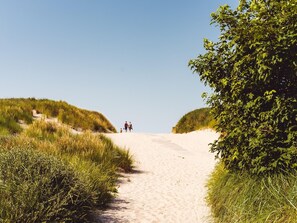 Un sentier sablonneux bordé de dunes herbeuses et d’une végétation luxuriante, qui mène à une silhouette lointaine.