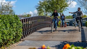 A wooden bridge with metal balustrades, surrounded by greenery and residential buildings. - Cozy Chalet With Dishwasher on a Holiday Park (Velsen-Zuid)