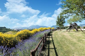 Property grounds - Italian Farmhouse with Pool (Cagli)