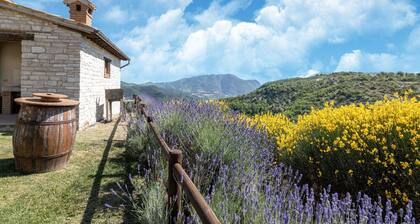 Country House in Cagli with Pool and Views