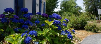 Villa in Les Forges with Golf & Pool Access