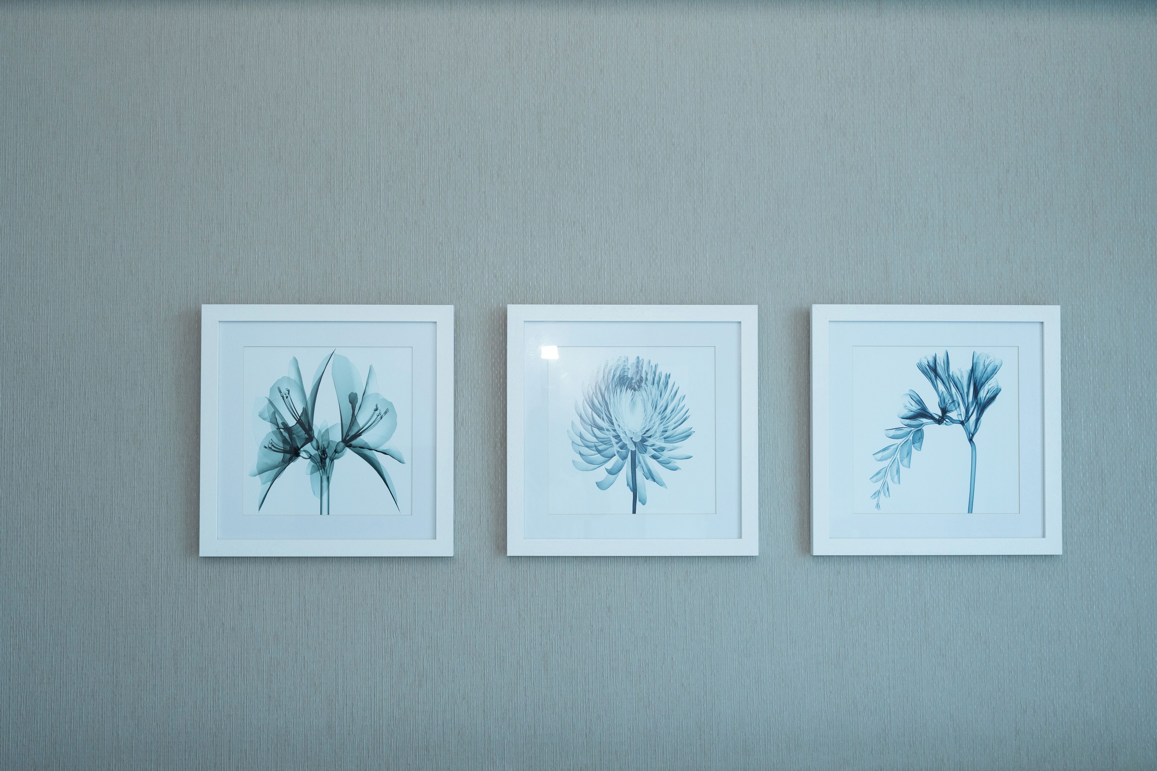 Three framed botanical prints on a textured wall.