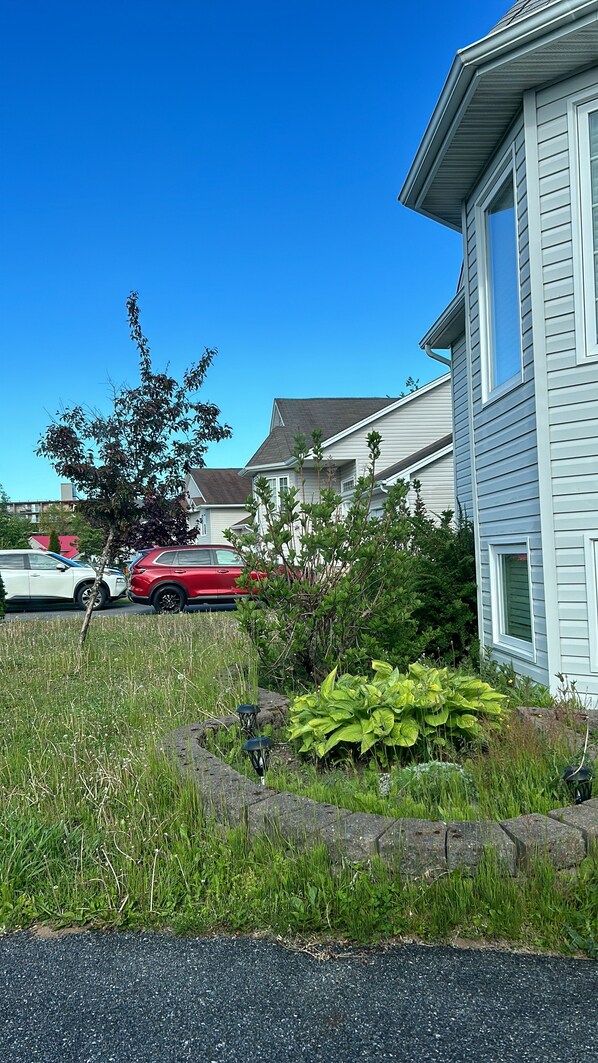 Zona residencial con casas, coches aparcados y un jardín con plantas.