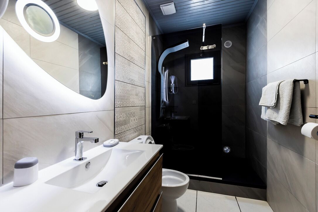 Shower, hair dryer, soap, toilet paper