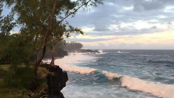 Un paisaje costero con una línea de costa rocosa, olas rompiendo contra las rocas y una línea de árboles en primer plano.