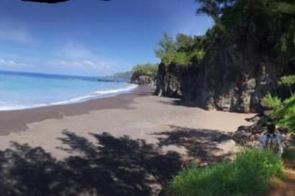 Shower, hair dryer, soap, toilet paper