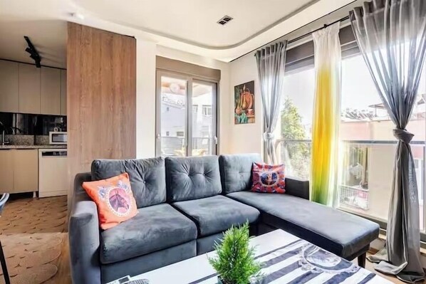 Smart TV, computer monitors