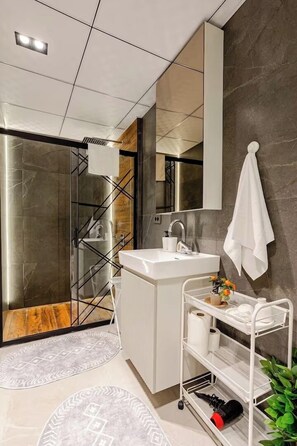 Shower, hair dryer, bidet, towels